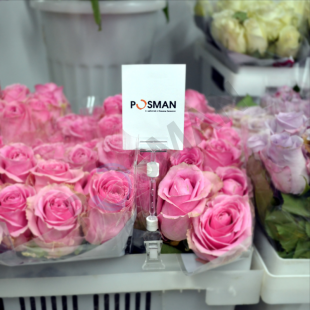 Держатель таблички (узкий) с зажимом на край коробок, толщиной до 10 мм изображение